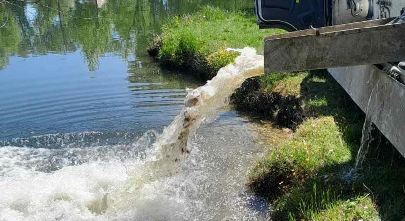 Haltelepítés: 100 kiló ponty érkezett Kimlére