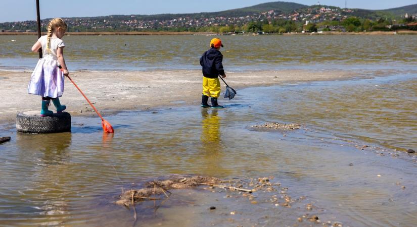 Sárga iszap és térdig érő víz: Sokkoló látvány a Velencei-tó partján a szezon előtt