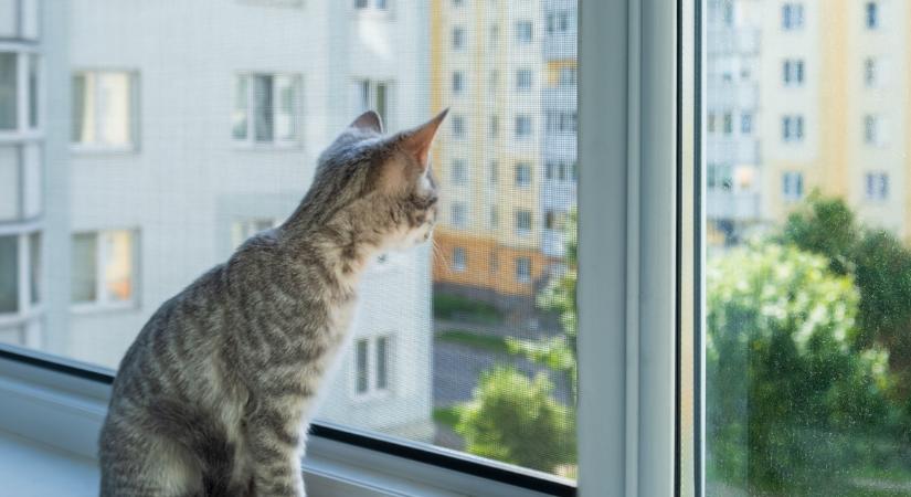 Egyre többen cserélik le a szúnyoghálót erre: sokkal egyszerűbb felszerelni és egy szúnyog se jut át rajta