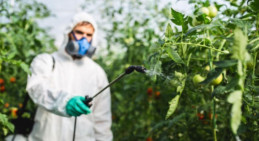 Így permetezz okosan! – Mutatjuk a szakértő tanácsait