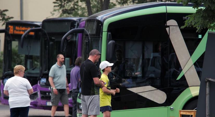 Buszok testközelből: családi programokkal várták az érdeklődőket Haszkovó-fordulóban (galéria)