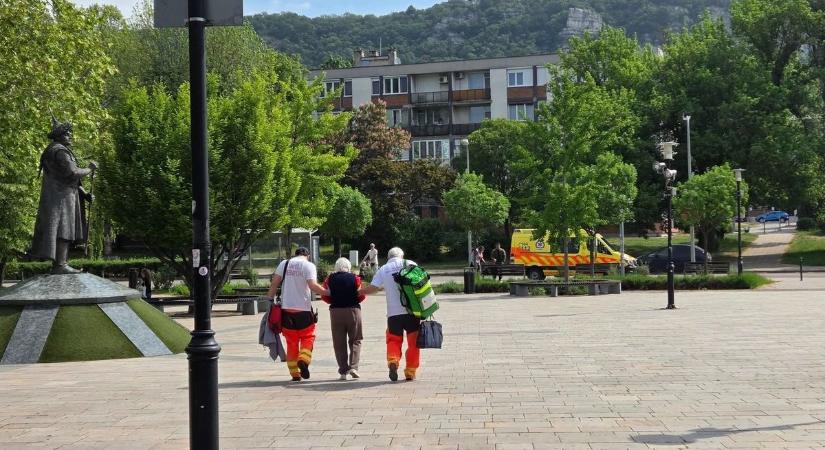 Bajba jutott idős hölgyön segítettek a tatabányai terepjárósok