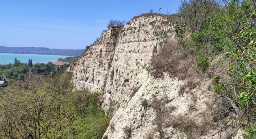 Veszélyes löszfalon dolgoznak a Balatonnál: a helyiek a fák és a madarak miatt aggódnak