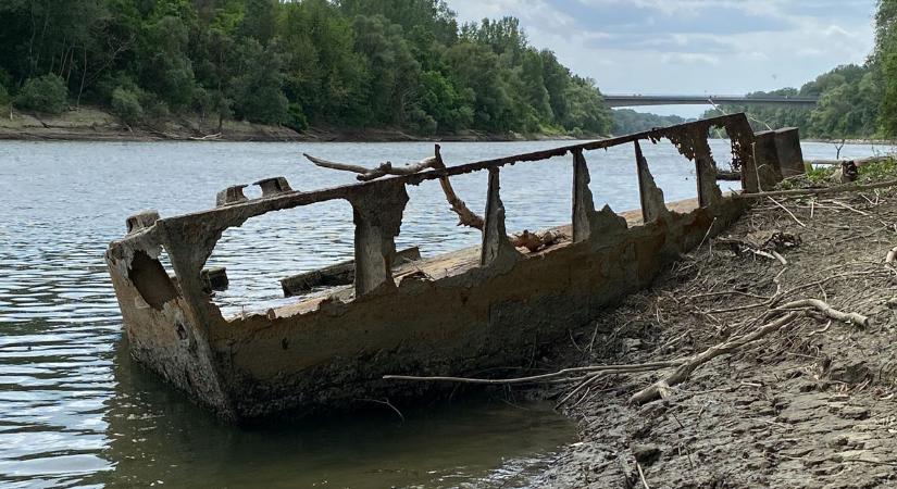 Az alacsony Tisza lesz a végzete a legendás hajóroncsnak Szolnokon – galériával