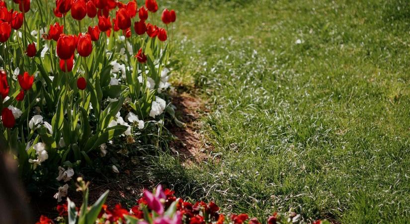 Vágatlan május – Lustaság? Nem, a nem tevés a hasznos most
