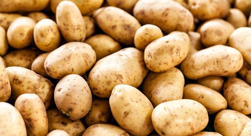 Kilőtt a krumpli ára a tőzsdei kereskedésben – mi hajtja a burgonya óriási áremelkedését?