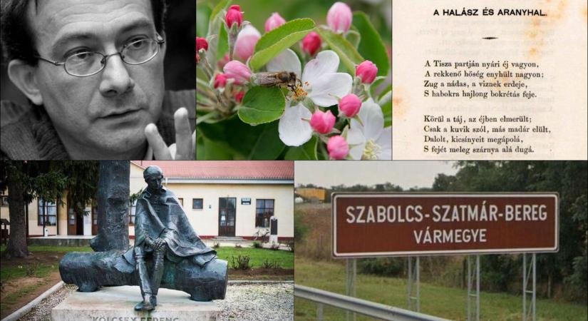 Kvíz: annak, aki ezekre a kérdésekre tudja a választ, megkapja a tiszteletbeli helytörténész címet – kinek gratulálhatunk?