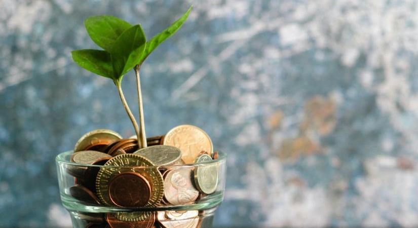 Ez a pár 15 éve bankszámla nélkül él, több milliót spóroltak meg