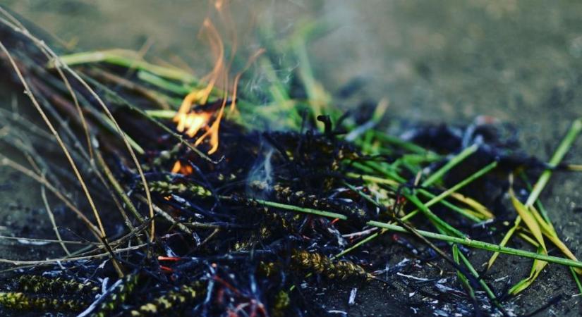 Súlyos bírság járhat érte: ezért ne égess zöldhulladékot a kertben