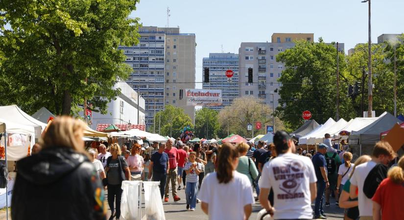 A második nap sem okozott csalódást: hatalmas siker volt a 2026-os Mihály-napi vásár – fotókkal