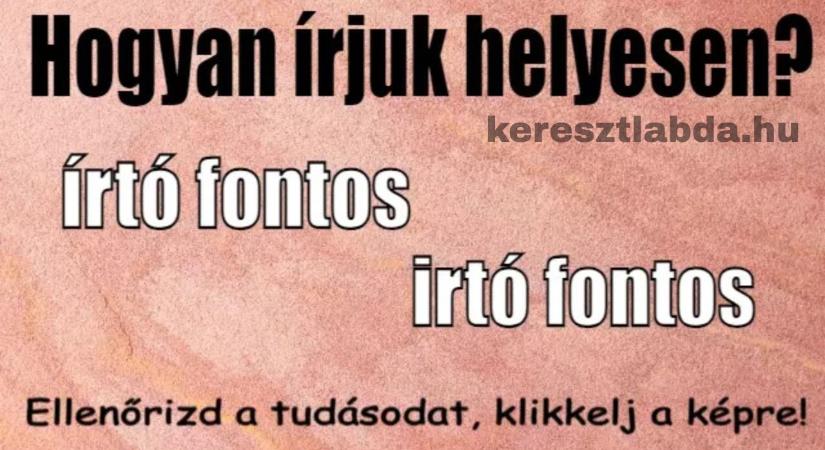 Napi helyesírás feladat: „Irtó” vagy „írtó”, te melyiket írnád chatelés közben?