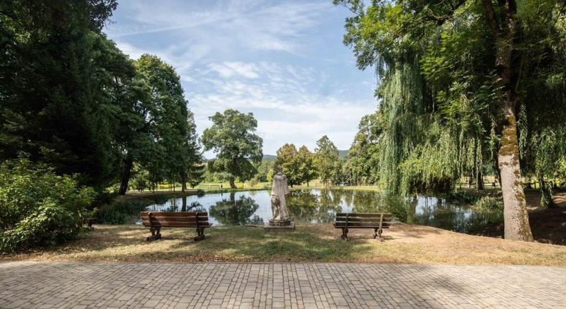 Megcsonkították a Bakony csodaszarvasát, szomorú, ami a szent helyen történt