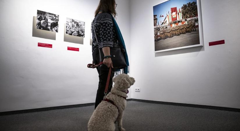 Robert Capa ismerős idegenként tért vissza Magyarországra