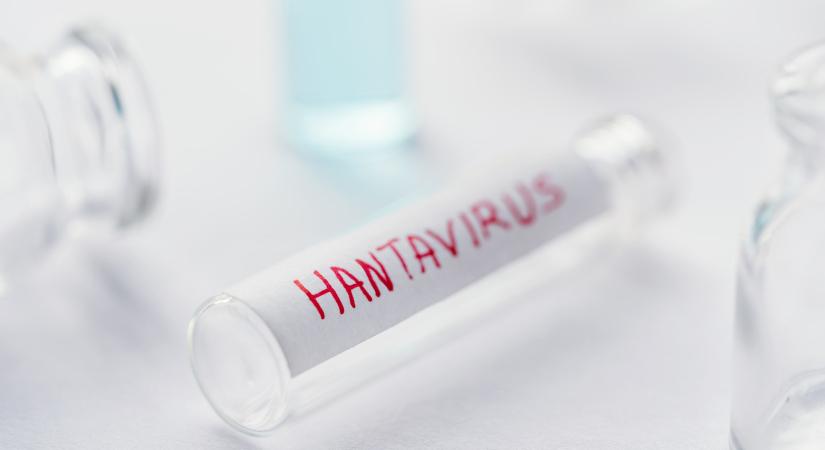 Szanaszét szórhatták a hantavírust a világban, van, ahová már ejtőernyősökkel dobják le a gyógyszereket