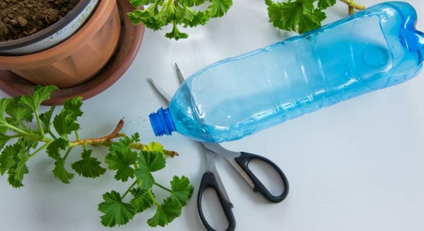 Ne dobd ki az üres flakonokat! Tündéri kerti dekor készülhet belőle