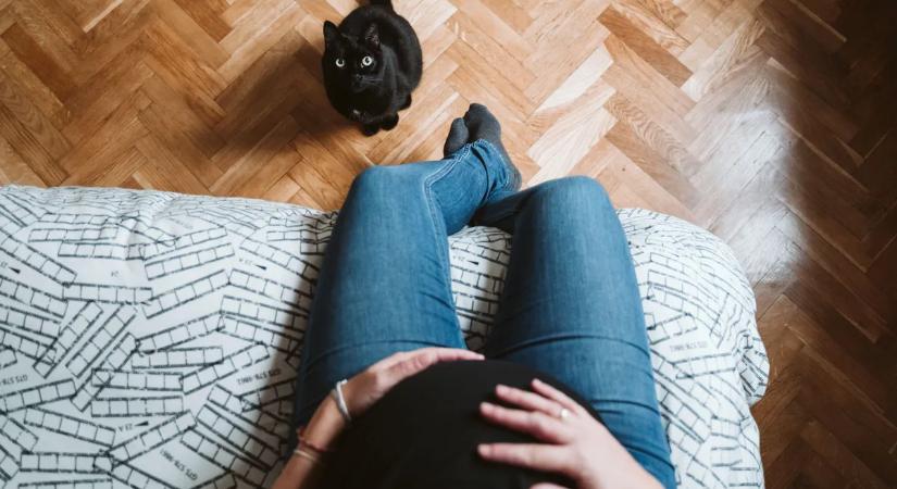 Fekete macska hozott gyermekáldást a magyar családnak: a legmegdöbbentőbb azonban csak ezután következett