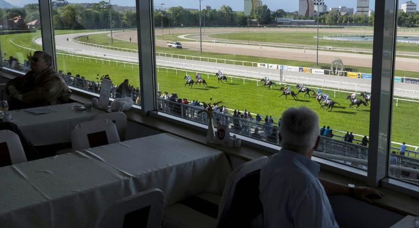 Futam után elájult egy ló a Kincsem Parkban, újra kellett éleszteni