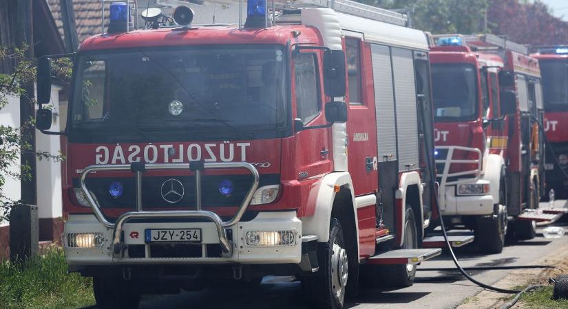 Pszichiátriára került a jánoshalmi gyújtogató, hajtóvadászat folyik egy különleges hüllő után