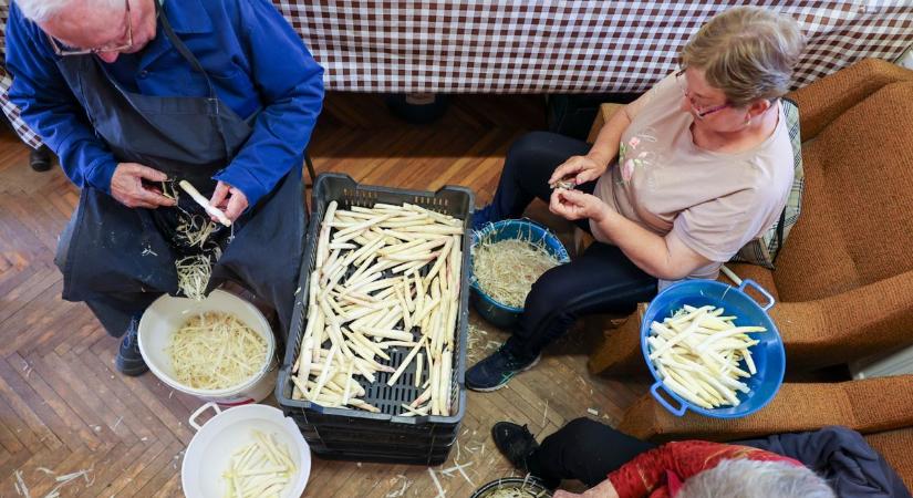 Olcsó bicikli, büdös durián és spárgafesztivál egy színes heti körképben