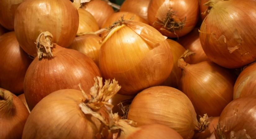 Nem hinnénk, de ezt teszi a vöröshagyma a szervezetünkkel