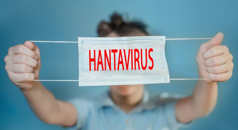 Mi a hantavírus és miért félnek tőle ennyire Európában?