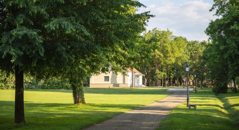 Igazi beruházási kánaán a hajdú-bihari város: 120 új lakás már épült, de közel sincs vége a fejlesztéseknek
