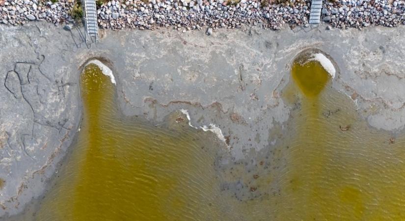 Bénító látvány a Velencei-tó, sárgás, porzó, kietlen tájnak tűnik a partja
