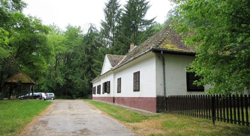 Újabb fejlesztést jelentett be Szekszárd polgármestere (videó)