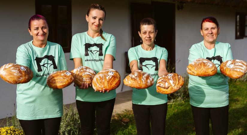 Egykilós kedvenc a Sokorói-dombságról