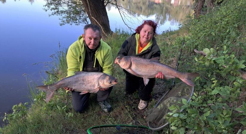 Két nap, 285 kiló busa: rekordot döntött a híres baranyai horgászpáros