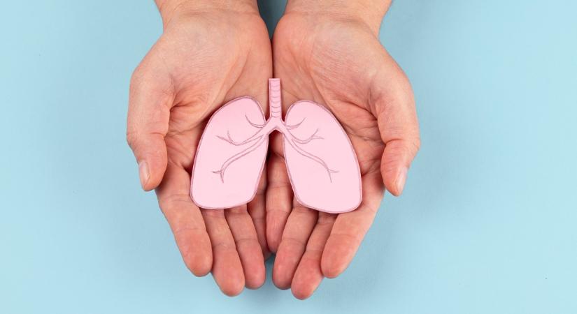Nem a dohányzás az egyetlen ellenség: ez a legrosszabb étel a tüdődnek egy tudományos folyóirat szerint
