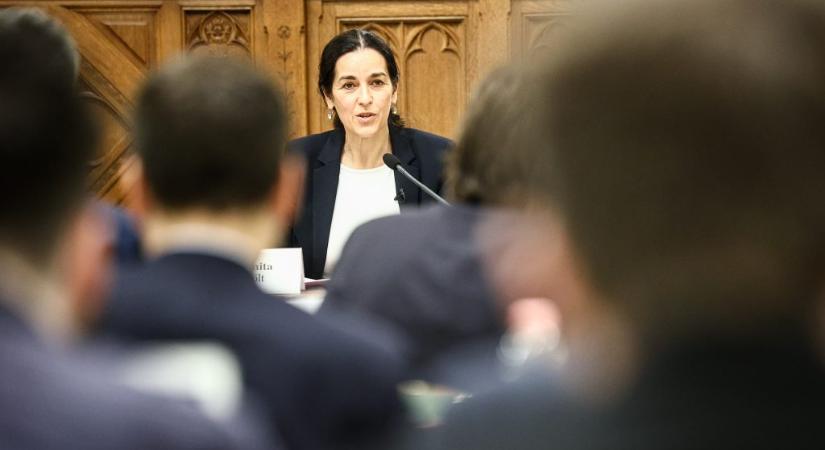 Orbán Anita a külügyi bizottságban: Nem leszünk többé bot a küllők között