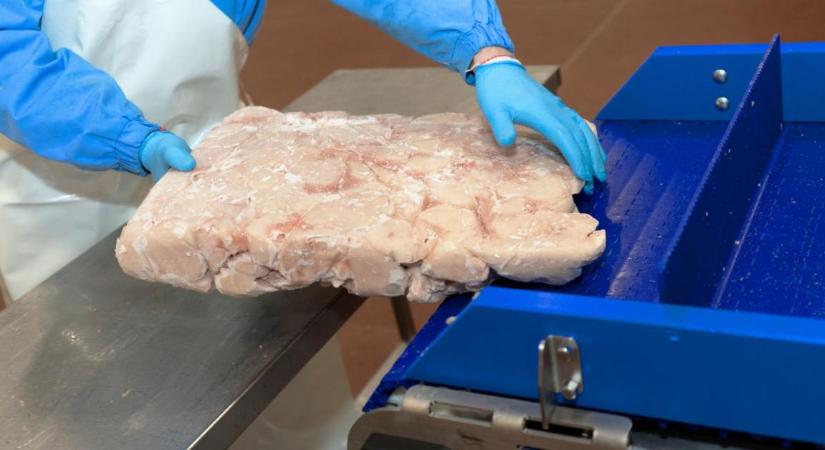 Váratlan botrány árnyékolja be a Mercosur-megállapodást
