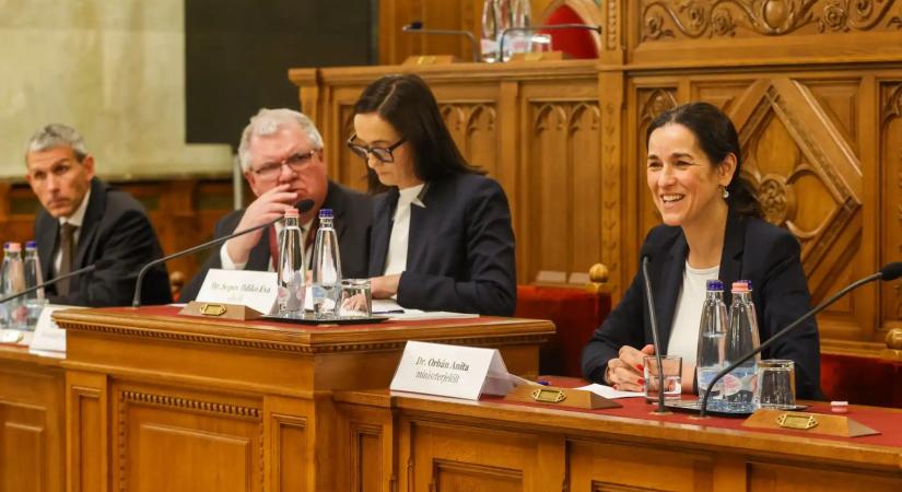 Partnerként és nem problémaként vezetné vissza az országot az Unióba a Tisza külügyminiszter-jelöltje