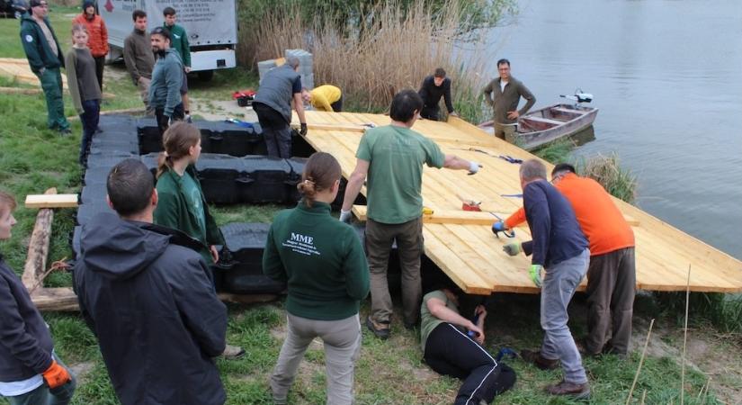 Úszó költőszigetet kapott a győri Marcal-tó – így próbálják megmenteni a veszélybe került vízimadarakat