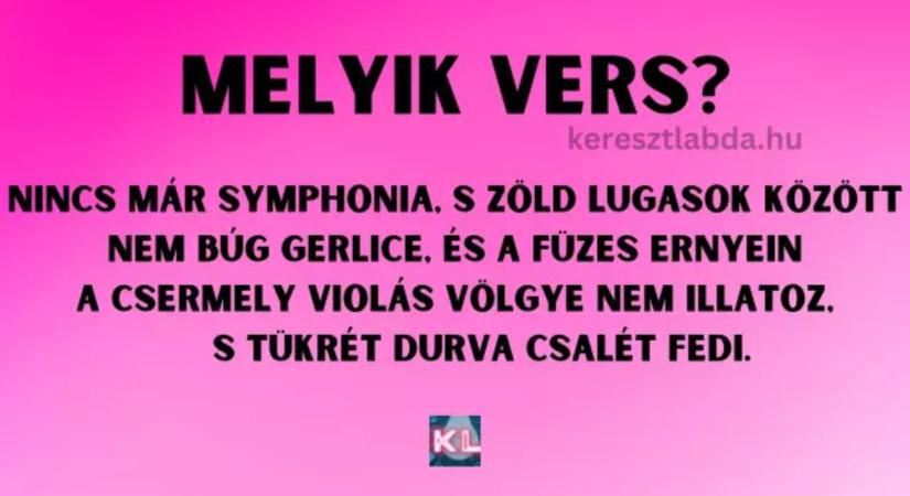 Napi irodalom feladat: „Nincs már symphonia” kötelező volt, de tudod, kinek a tolla?