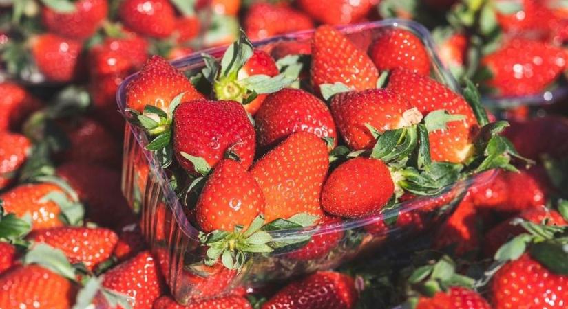 Mutatjuk, hogyan maradhat napokkal tovább friss az eper