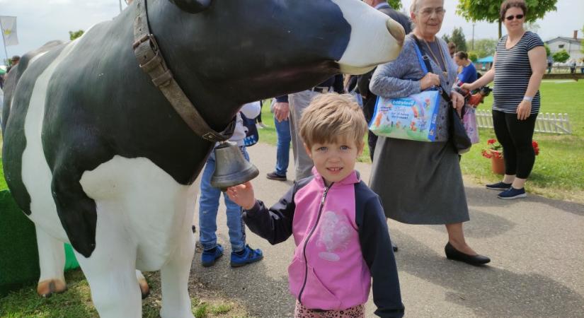 Állati jó három nap vár Vásárhelyre