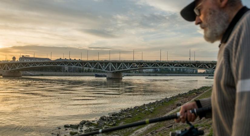 Kiírták a közbeszerzést a Petőfi híd felújításának megtervezésére