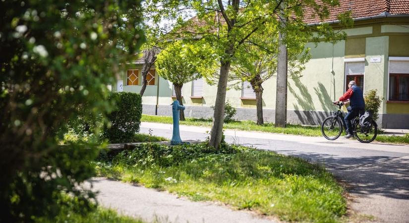 Ki nyírja, ki metszi? Tisztázta az egri önkormányzat, ki felel a házad előtti növényzetért