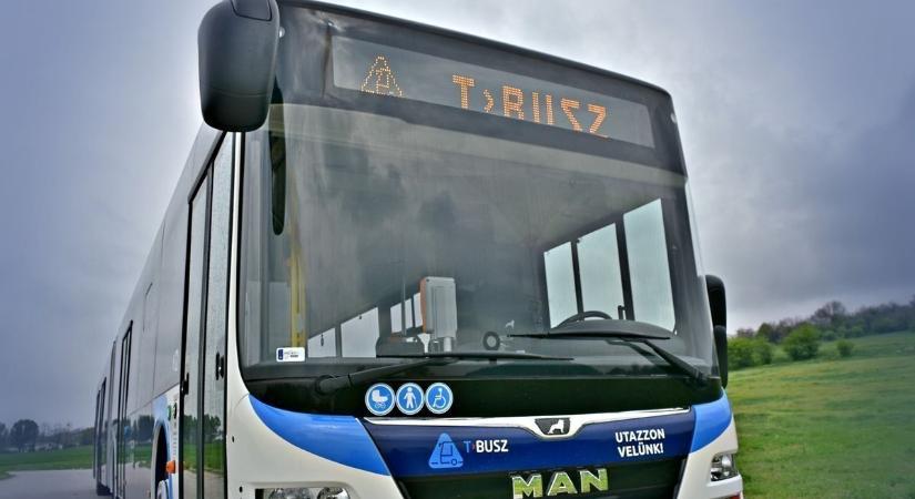 Ezen a járaton négy napig ingyen buszozhatsz Tatabányán