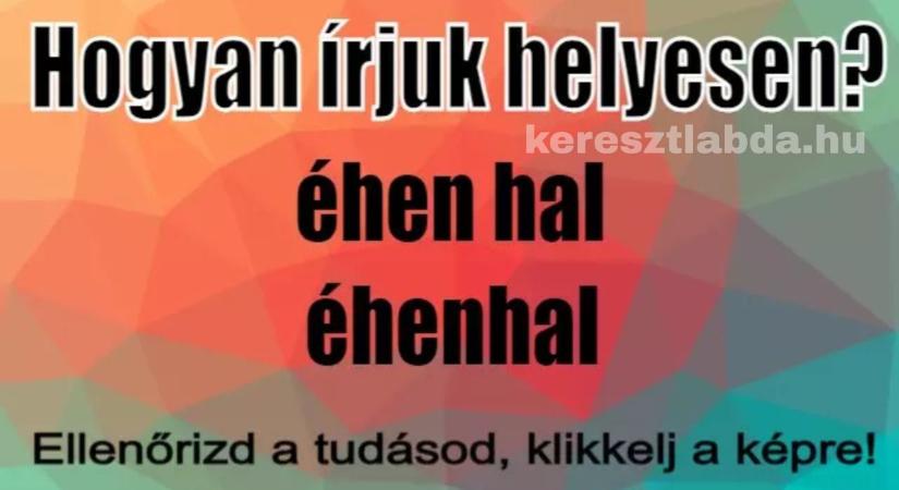 Napi helyesírás feladat: „Éhenhal” vagy „éhen hal”, melyik a szabályos alak?