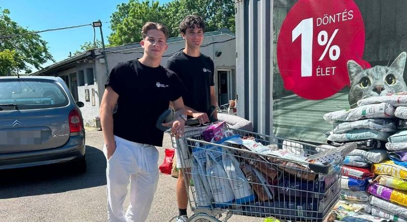 Egy autókozmetika ajánlotta fel segítségét a győri állatmenhely védenceinek