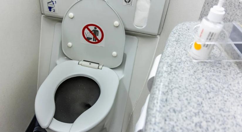 Kobrát talált a vécéjében egy szálloda vendége