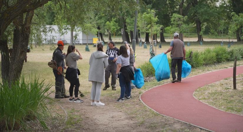 Önkéntesek a város zöldterületeiért