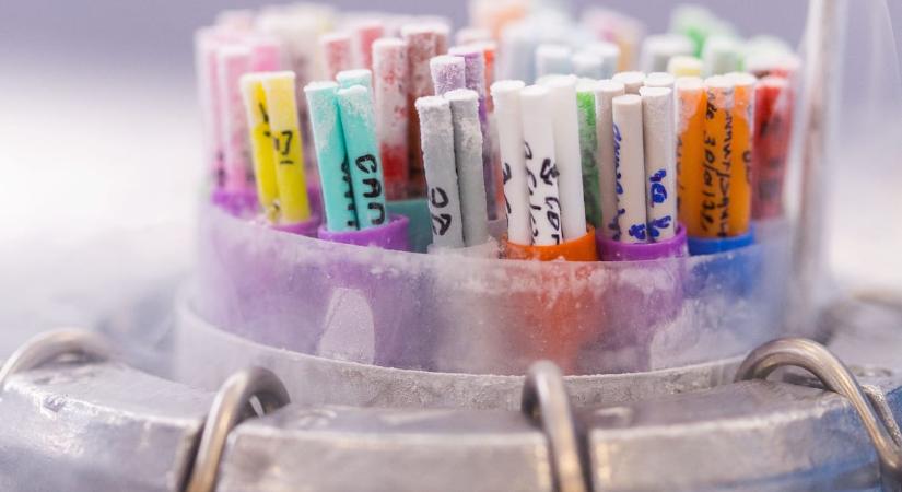 18 éven át fagyasztva tartották a hereszövetet, kész csoda, ami beültetés után történt