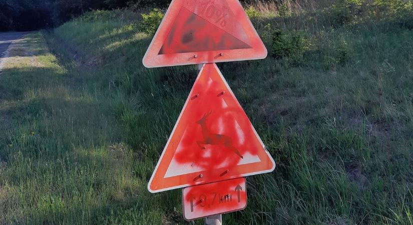 Hihetetlen, mi történt éjszaka az utakon – figyelj, ha erre vezetsz!