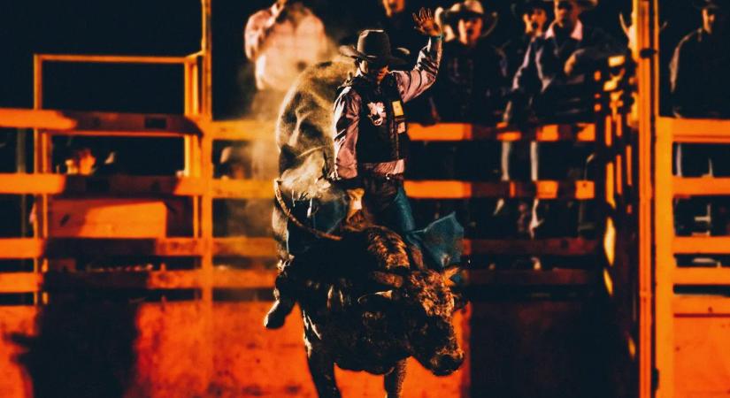 Brutális rodeóbaleset: válságos állapotban a megtaposott férfi