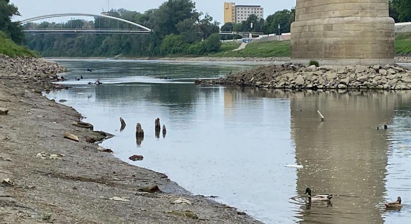 Aggasztó, ami a Tiszánál történik: pusztulhatnak a történelmi cölöpök