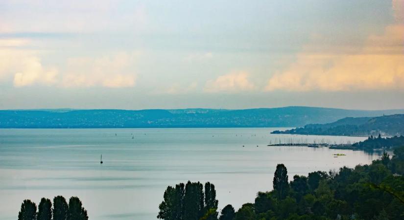 A Balatonban élhet Európa egyik legősibb genetikai öröksége